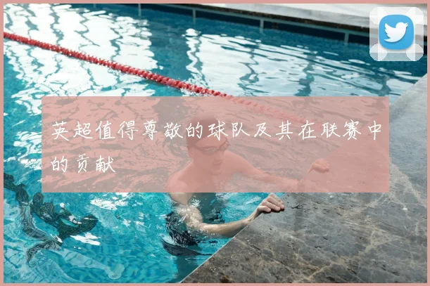 英超值得尊敬的球队及其在联赛中的贡献