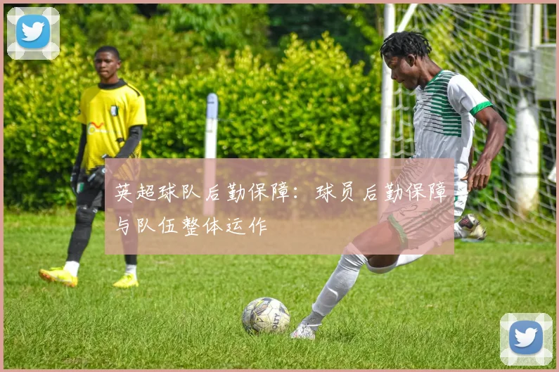英超球队后勤保障：球员后勤保障与队伍整体运作