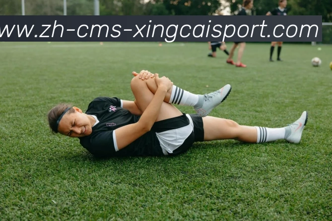 杏彩体育APP 封面图